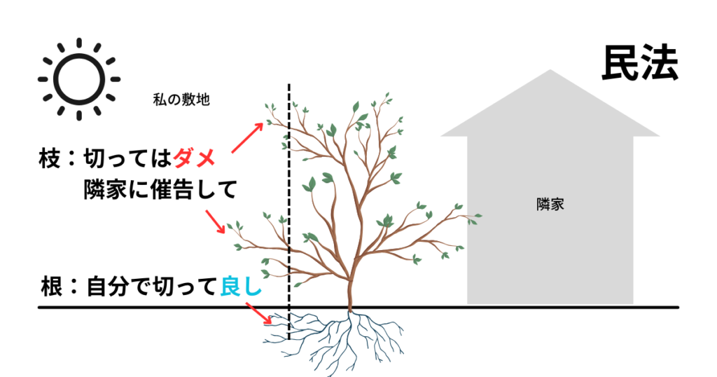 民法ではどうなっているか